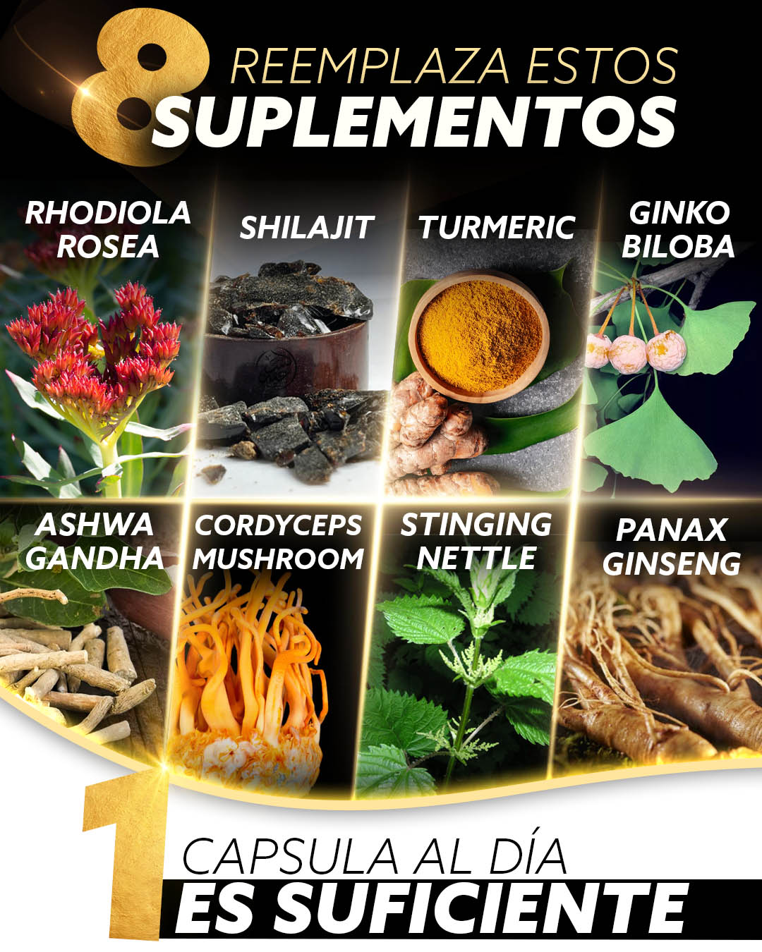 Shilajit 8 en 1 | 60 Cápsulas | Energía todo el día⚡