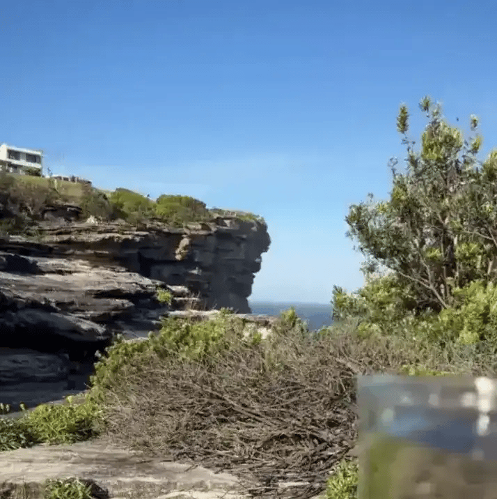 Shilajit 100% Puro 💎 Fuente de Energía Vital del Himalaya