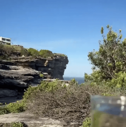 Shilajit 100% Puro 💎 Fuente de Energía Vital del Himalaya